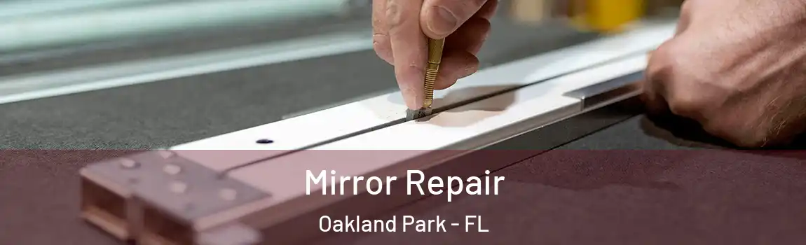  Mirror Repair Oakland Park - FL